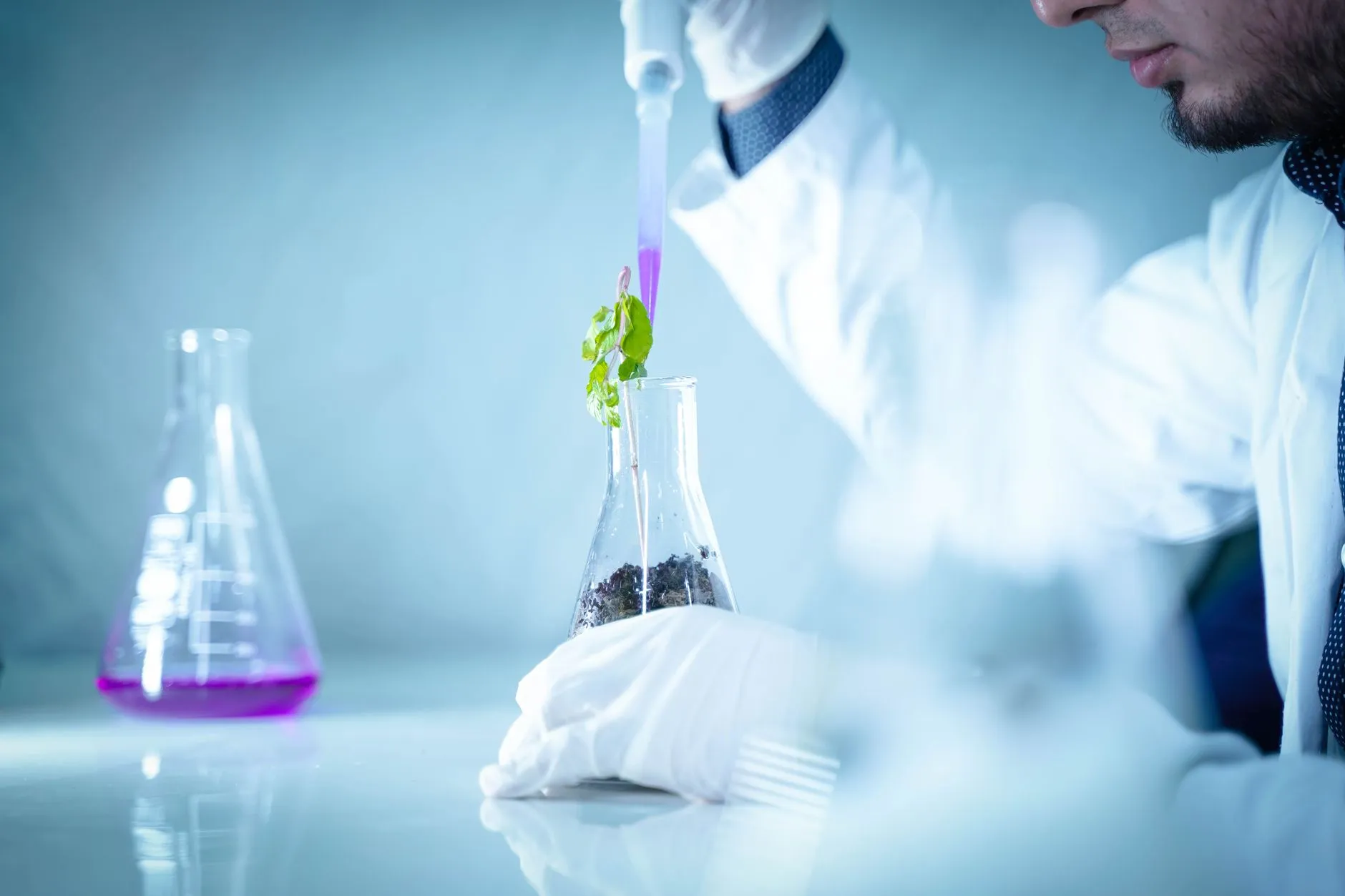 蚕桑资源高值化利用趋势下大连生物科技企业的开发路径分析正文配图 1