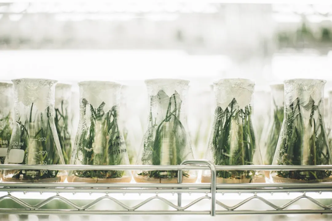 桑叶提取物与生物制品融合应用在大健康产业中的技术路径分析正文配图 1